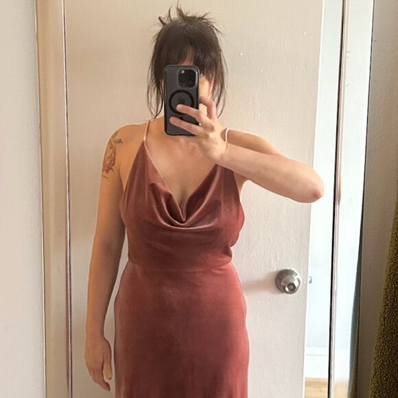 Jenny Yoo - Sullivan dress - color- English Rose - size 4 - Picture 5 of 6